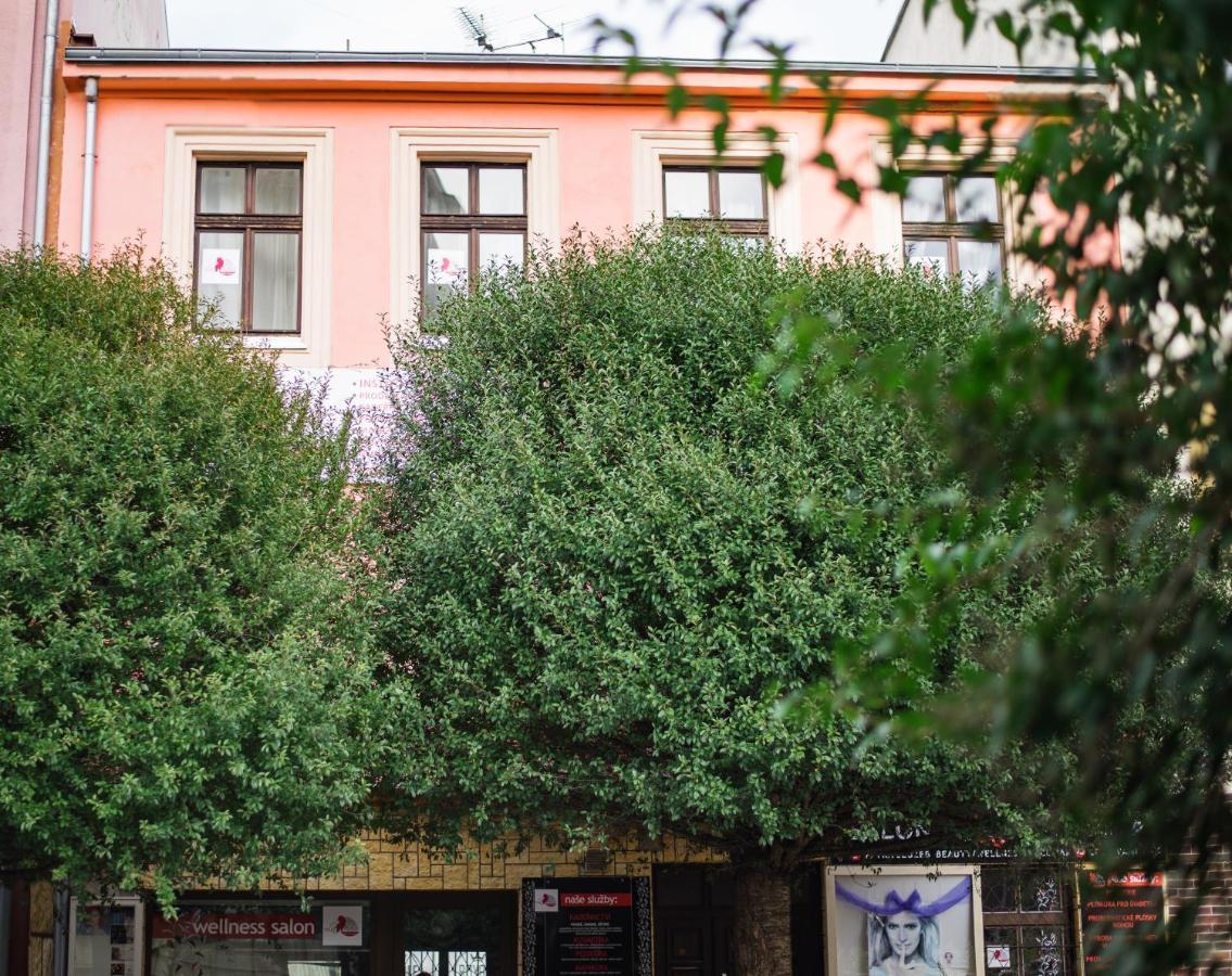 Beauty-Spa Apartment Ντέτσιν Εξωτερικό φωτογραφία