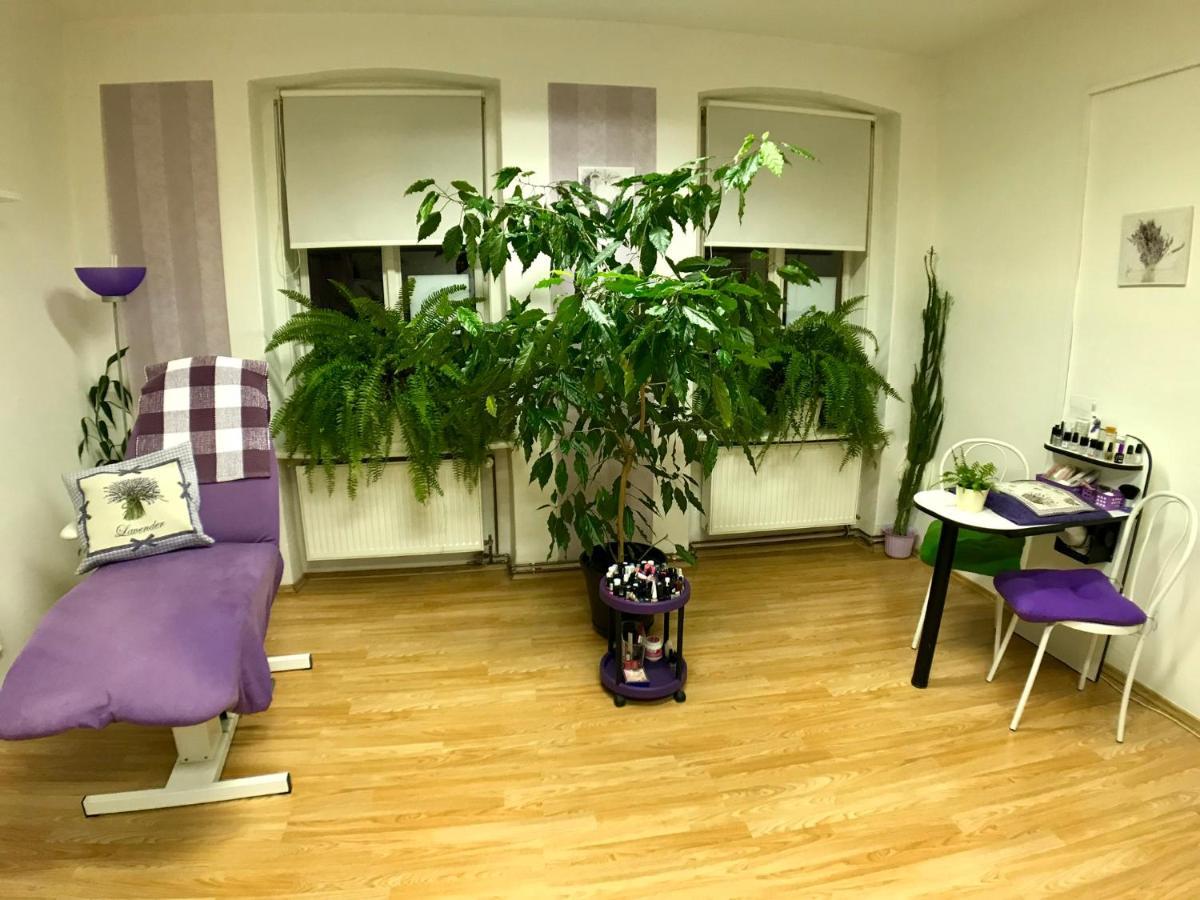 Beauty-Spa Apartment Ντέτσιν Εξωτερικό φωτογραφία